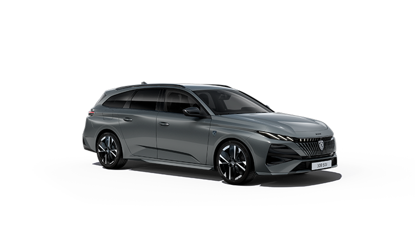 Нов 308 SW